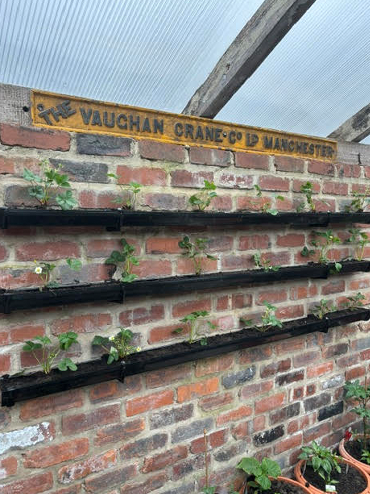 greenhouse shelfs